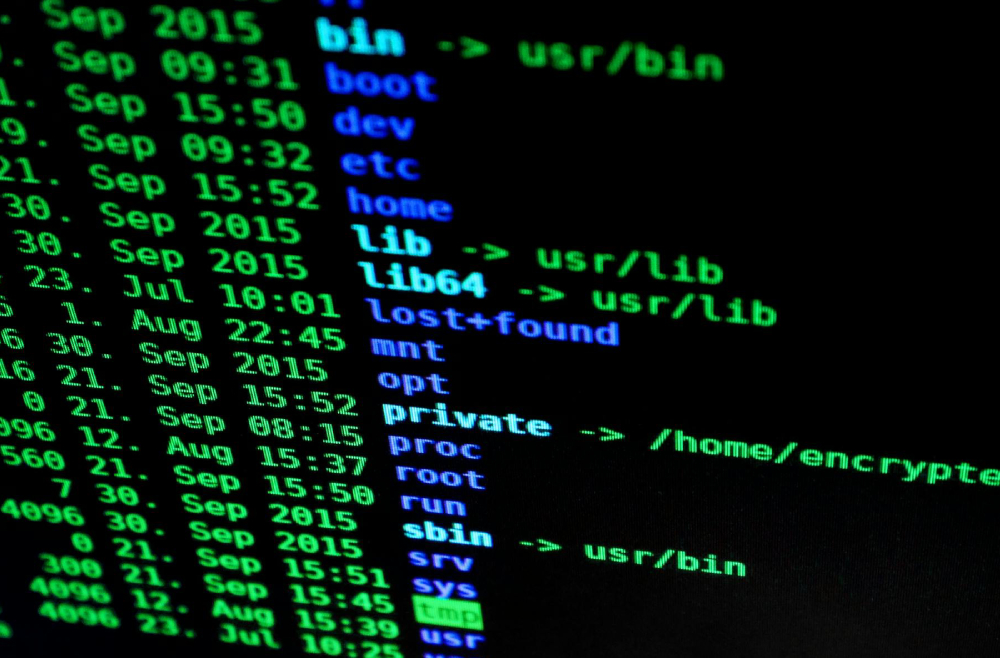 Has your email and password been hacked?