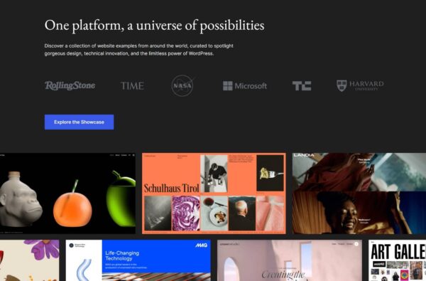 wordpress cms
